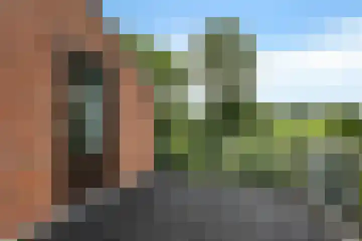 Ifftemalaan 13 Leek thumbnail 28