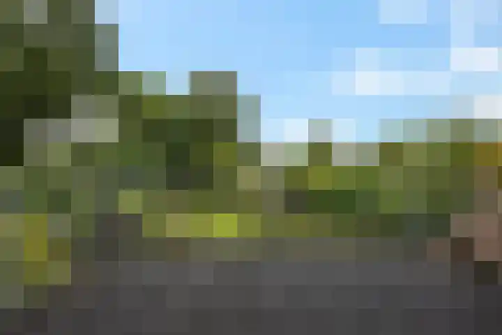 Ifftemalaan 13 Leek thumbnail 29