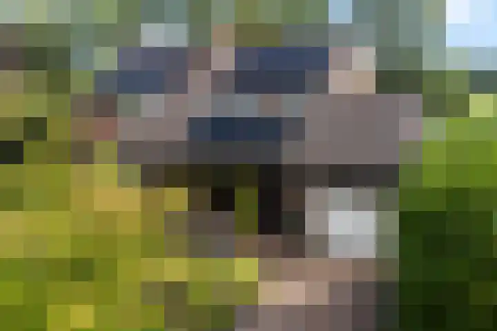 Ifftemalaan 13 Leek foto 3