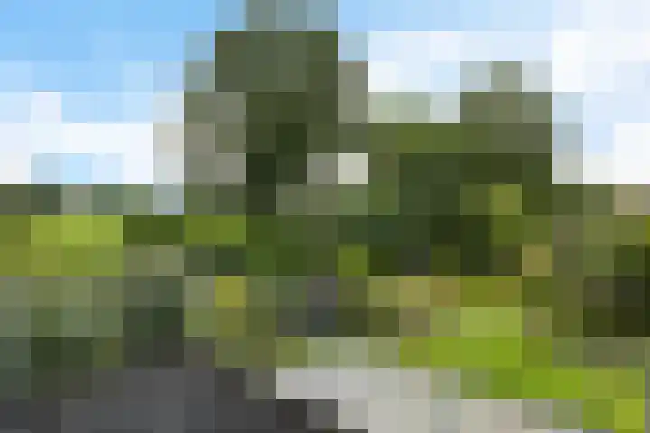 Ifftemalaan 13 Leek thumbnail 30