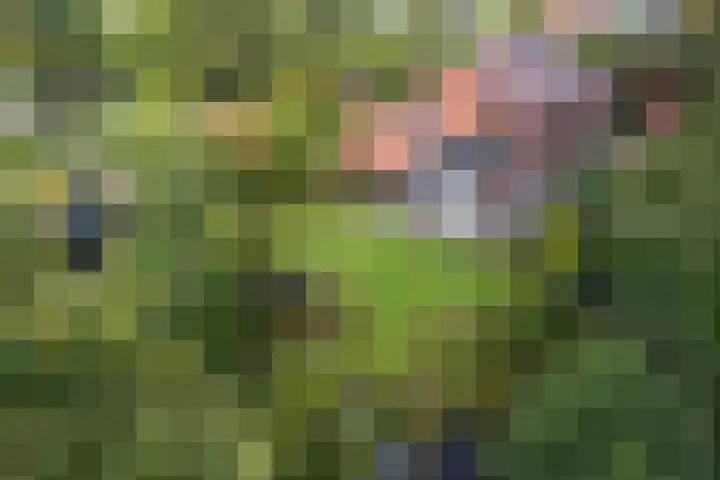 Ifftemalaan 13 Leek thumbnail 31