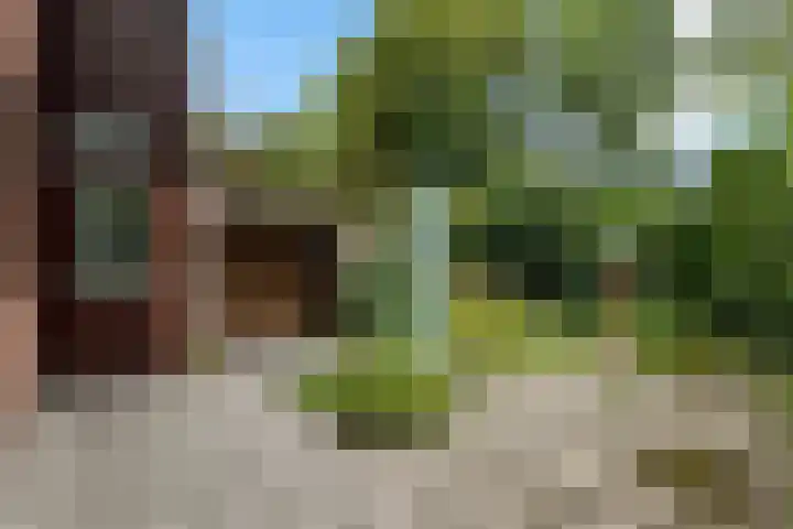 Ifftemalaan 13 Leek thumbnail 32