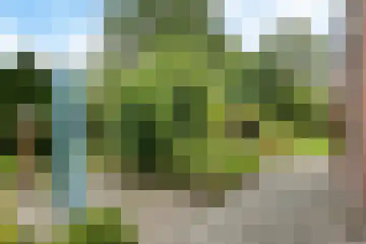 Ifftemalaan 13 Leek thumbnail 33