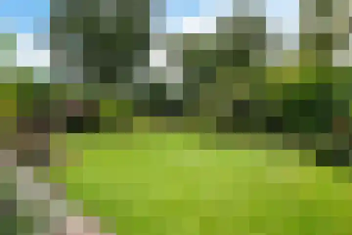 Ifftemalaan 13 Leek thumbnail 34