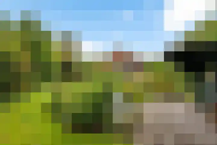 Ifftemalaan 13 Leek thumbnail 37