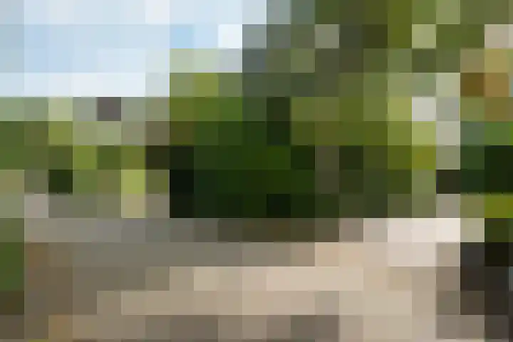 Ifftemalaan 13 Leek thumbnail 41
