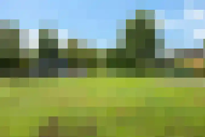 Ifftemalaan 13 Leek thumbnail 42
