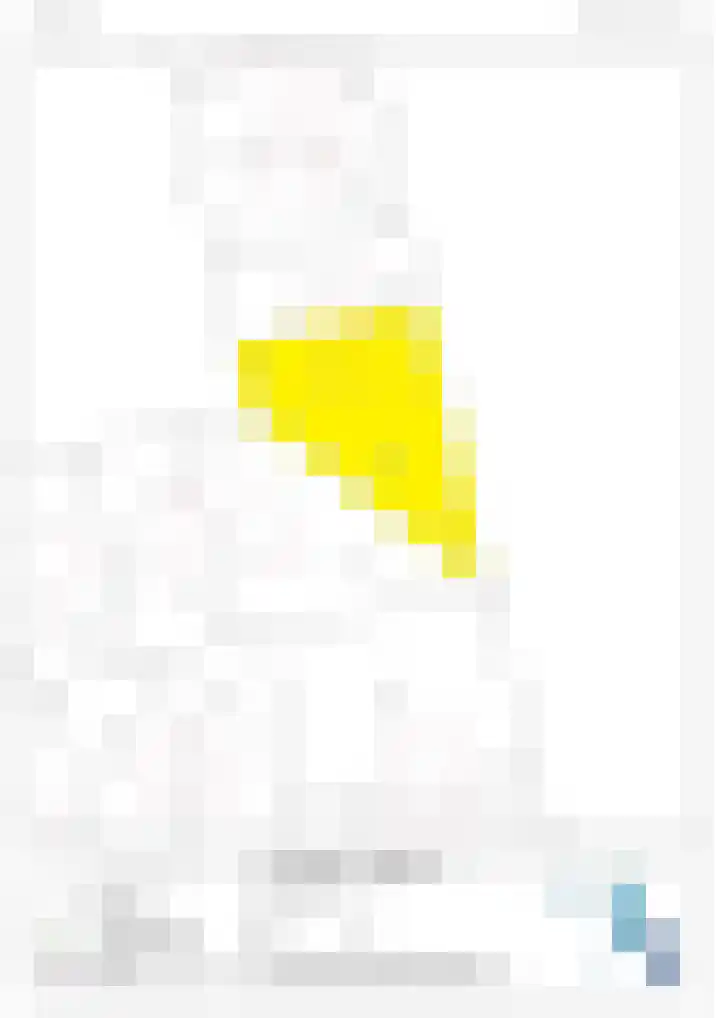 Ifftemalaan 13 Leek thumbnail 44