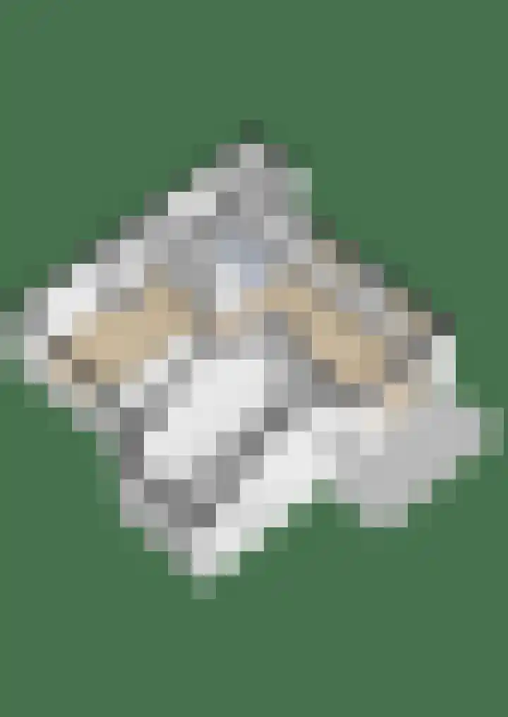 Ifftemalaan 13 Leek thumbnail 48