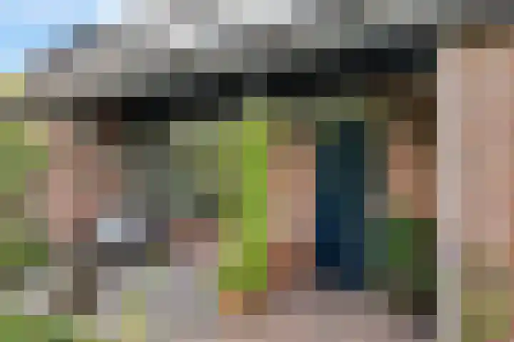 Ifftemalaan 13 Leek thumbnail 5