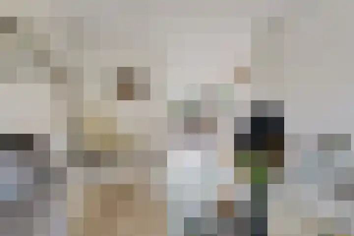 Ifftemalaan 13 Leek thumbnail 7