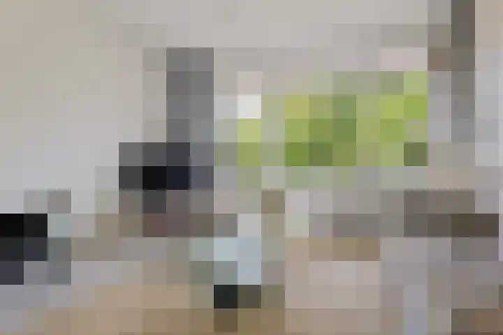 Ifftemalaan 13 Leek thumbnail 8