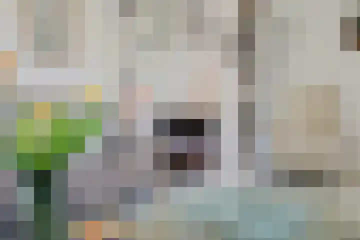 Ifftemalaan 13 Leek thumbnail 9