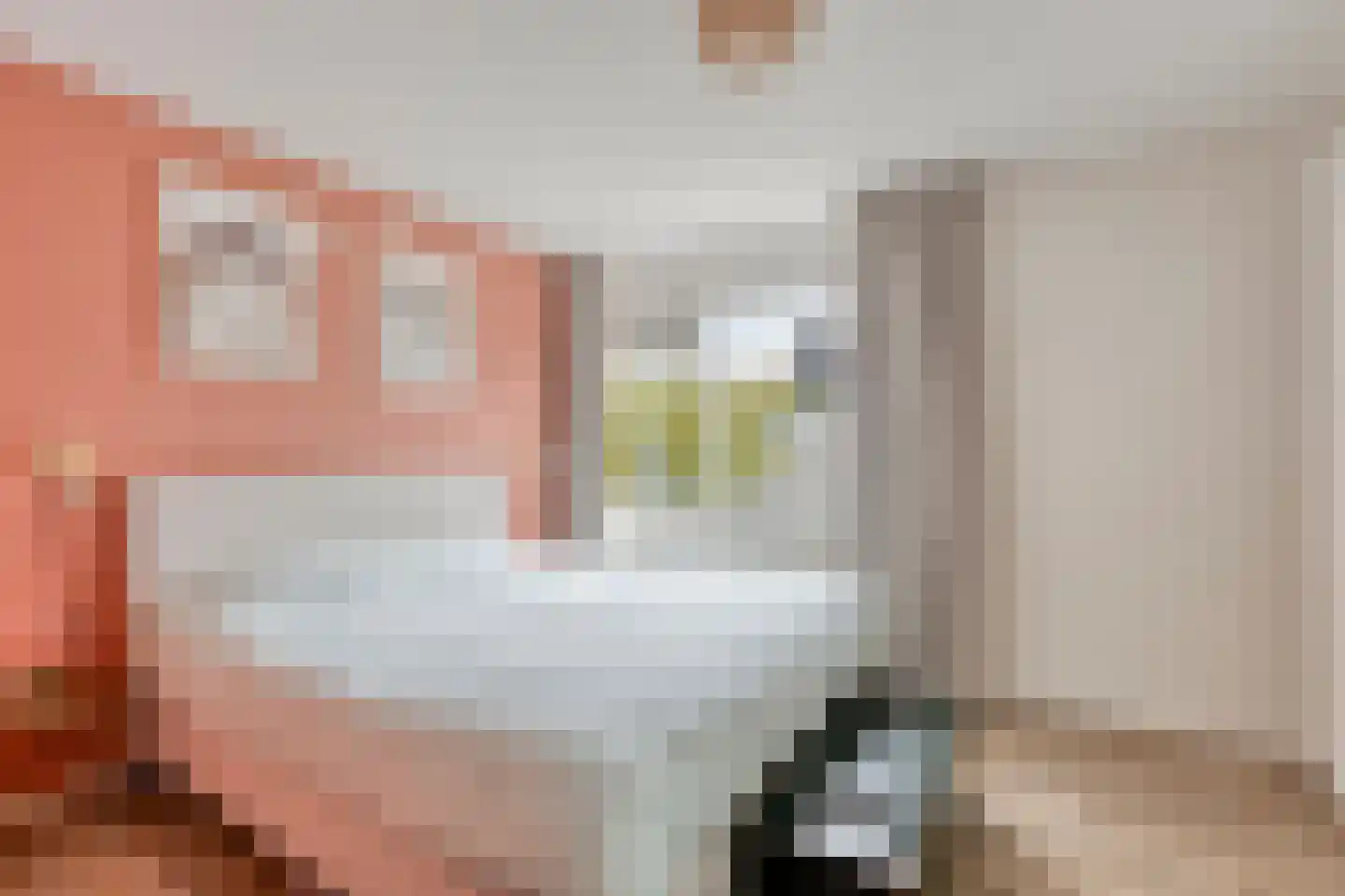 Ifftemalaan 4 Leek thumbnail 16