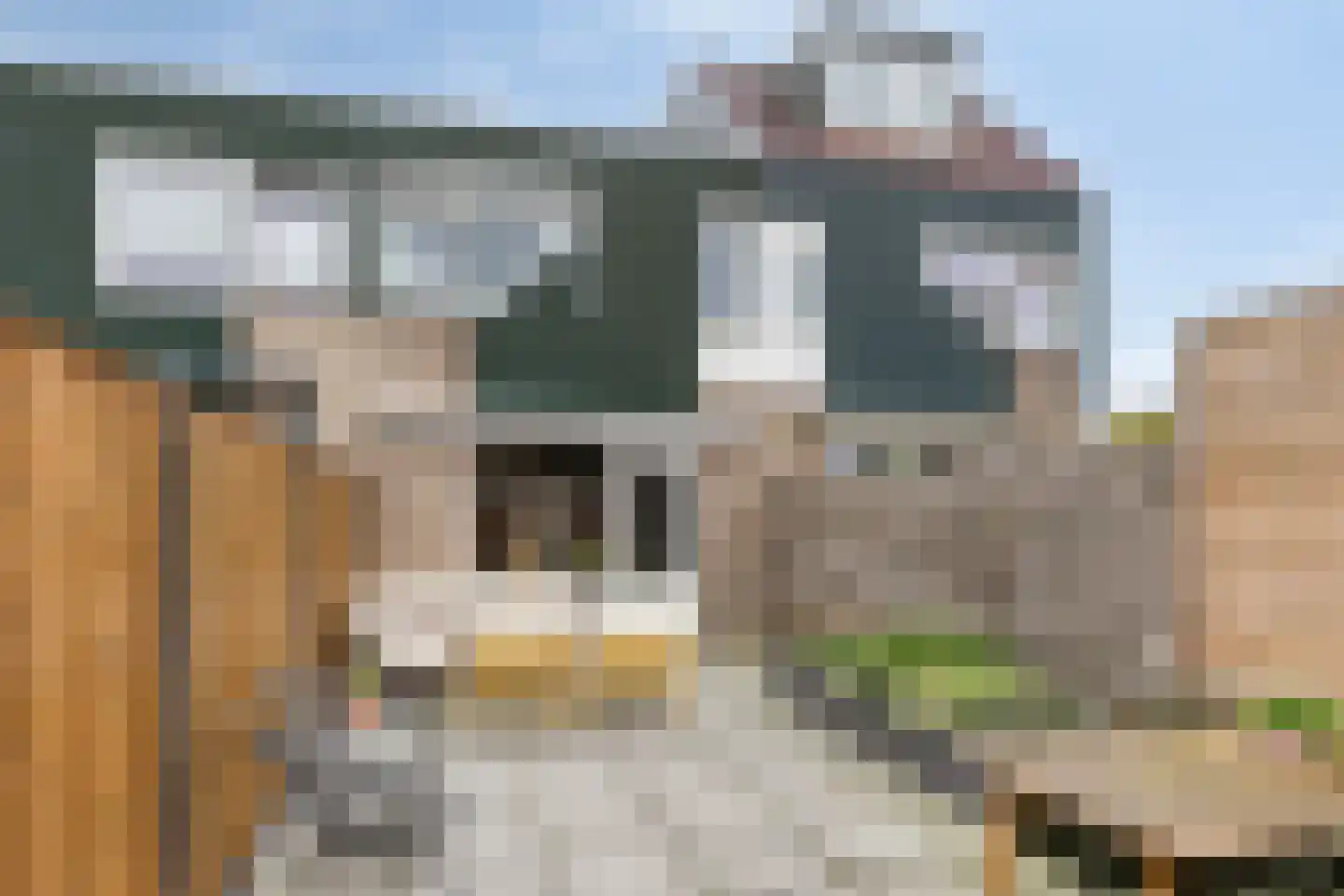 Ifftemalaan 4 Leek thumbnail 26