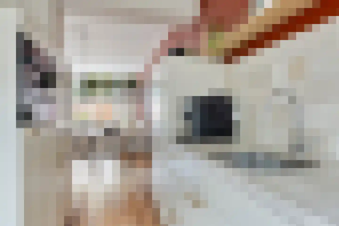 Ifftemalaan 4 Leek thumbnail 5
