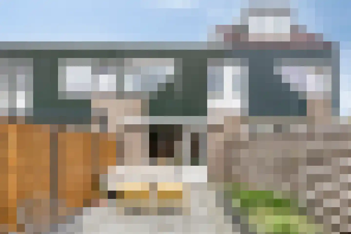 Ifftemalaan 4 Leek thumbnail 6