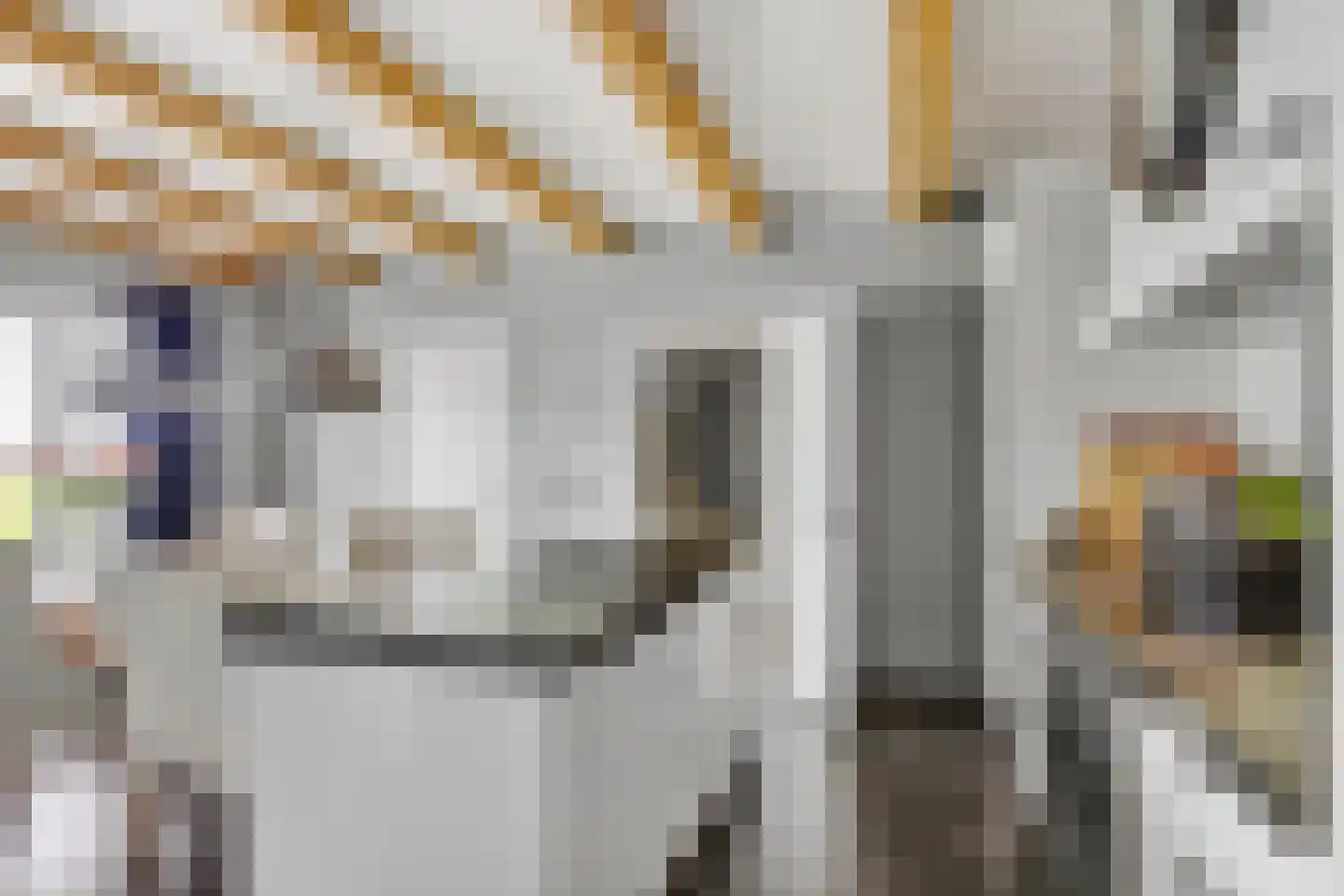 Ige Galamawei 14 Oudega thumbnail 22