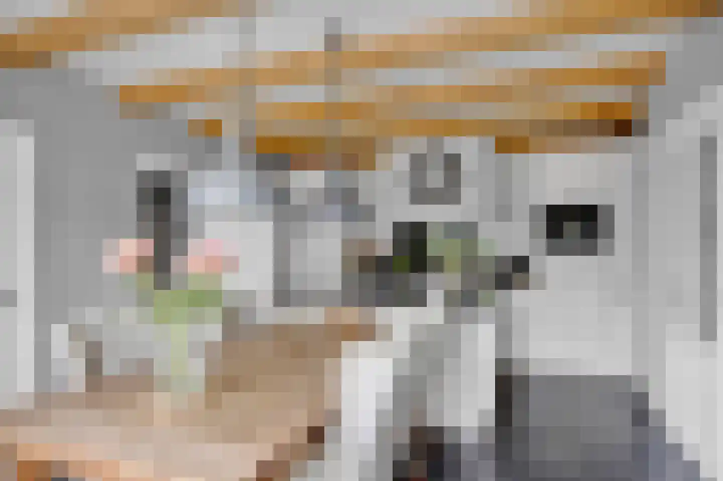 Ige Galamawei 14 Oudega thumbnail 24