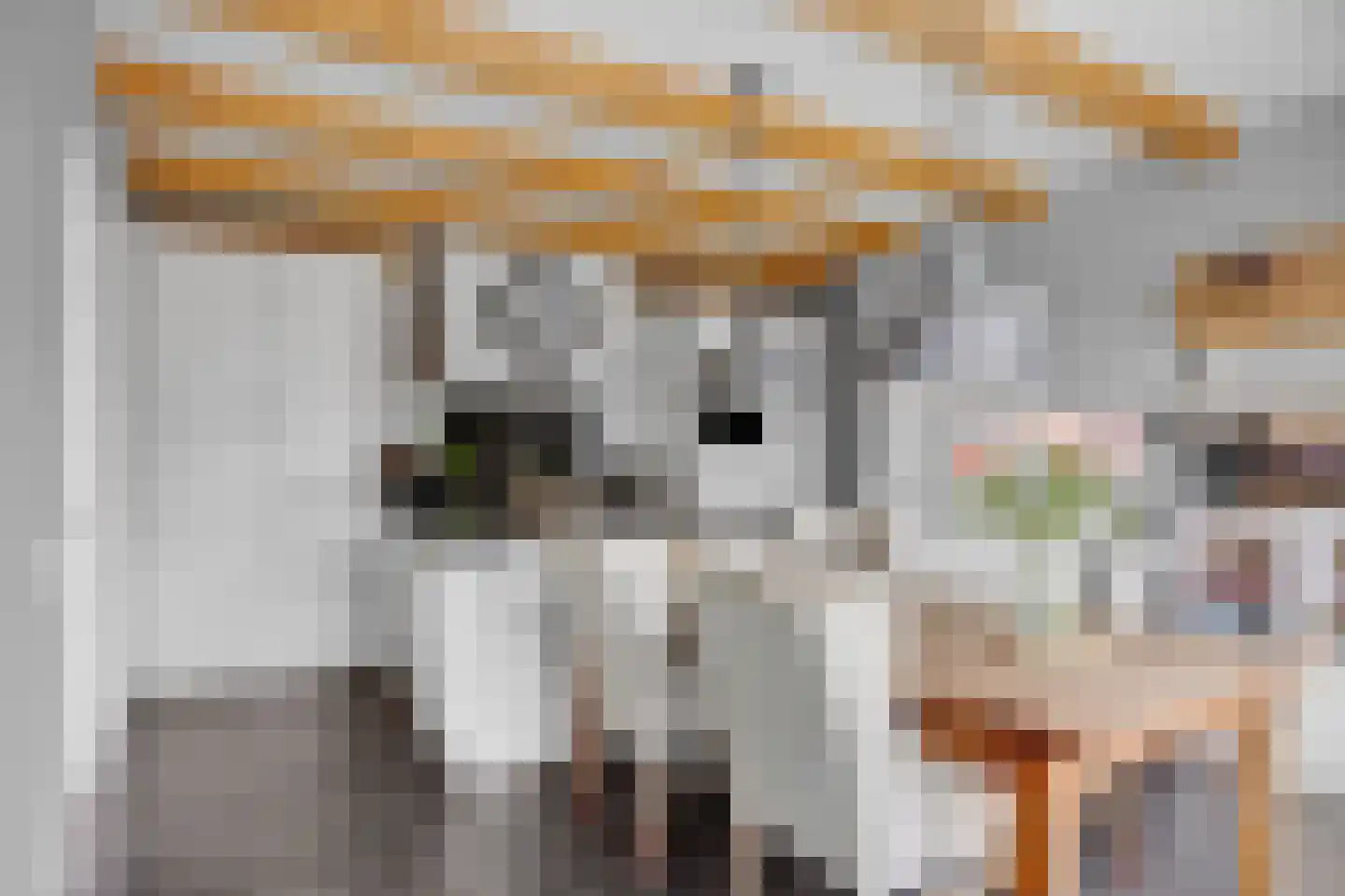 Ige Galamawei 14 Oudega thumbnail 25