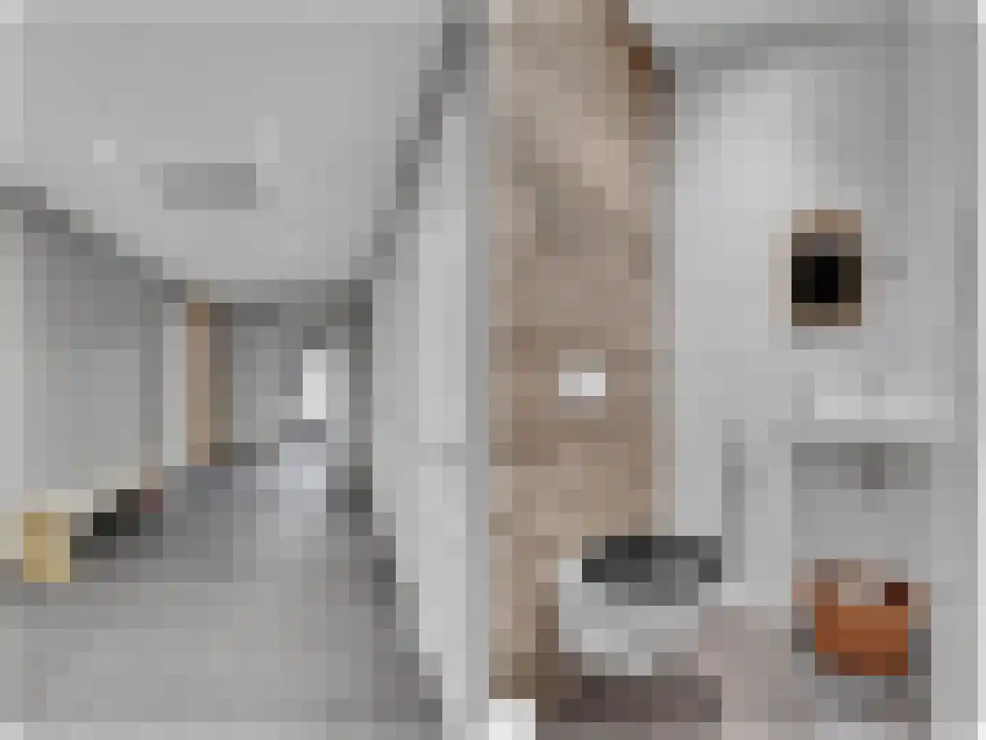Ige Galamawei 14 Oudega thumbnail 29