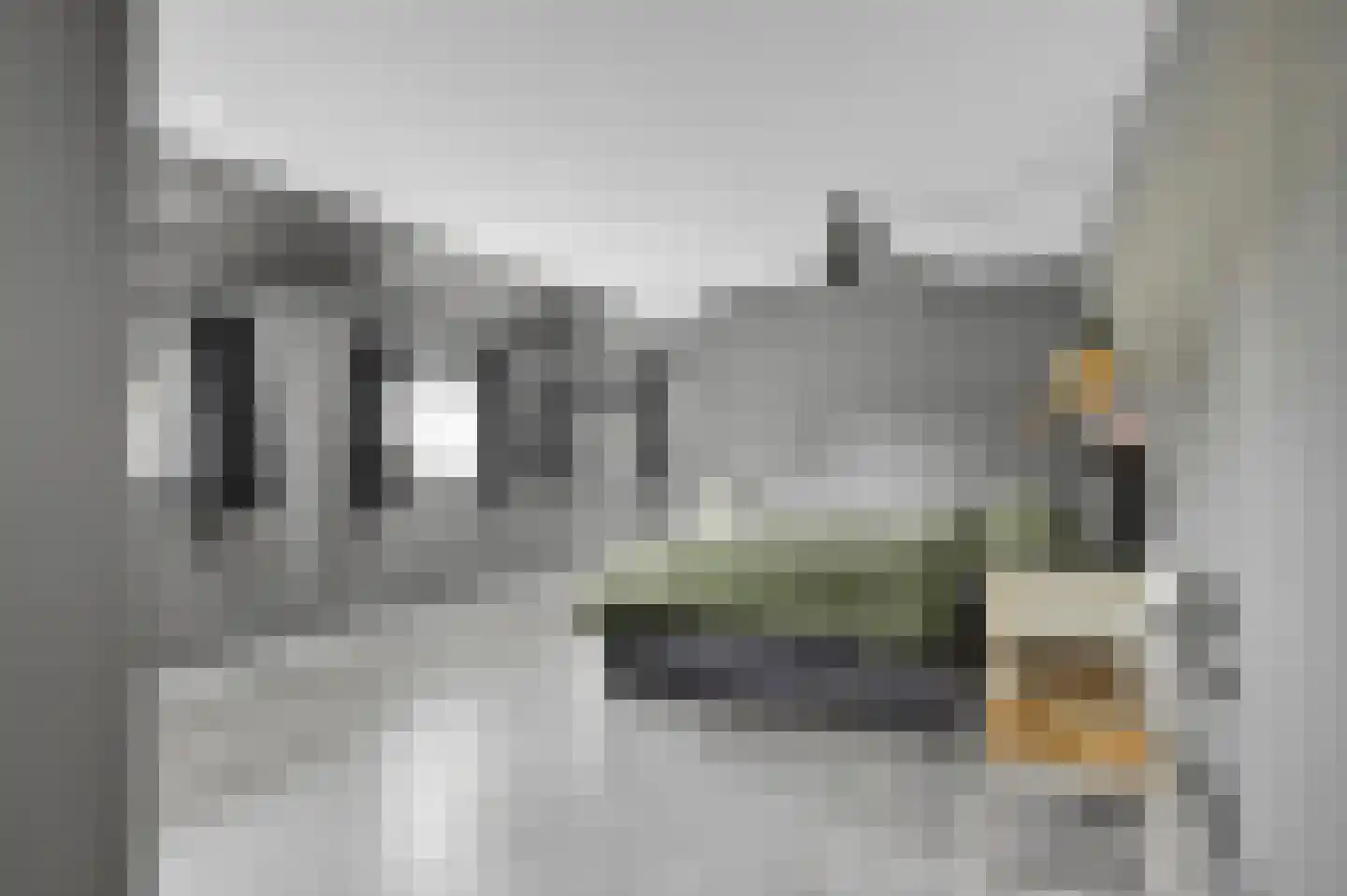 Ige Galamawei 14 Oudega thumbnail 32