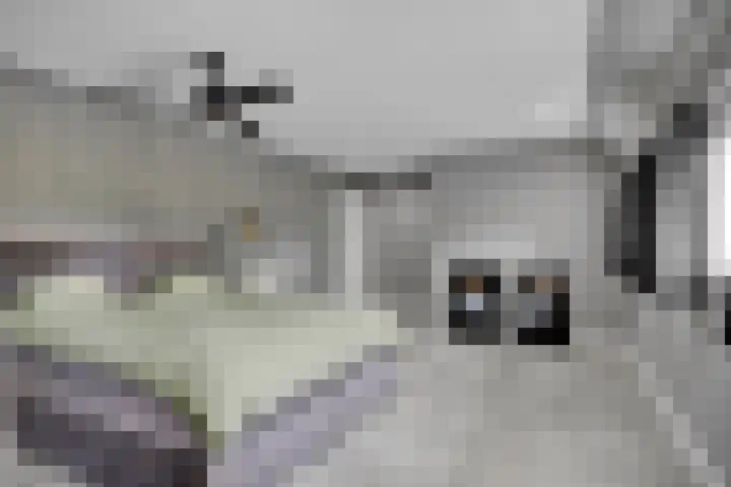 Ige Galamawei 14 Oudega thumbnail 33