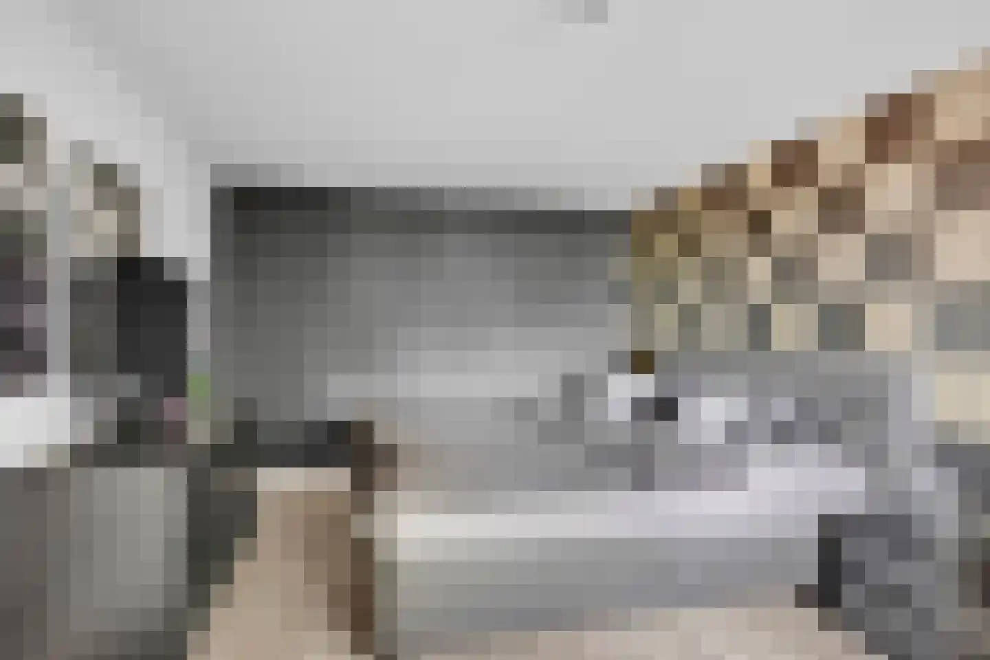 Ige Galamawei 14 Oudega thumbnail 40