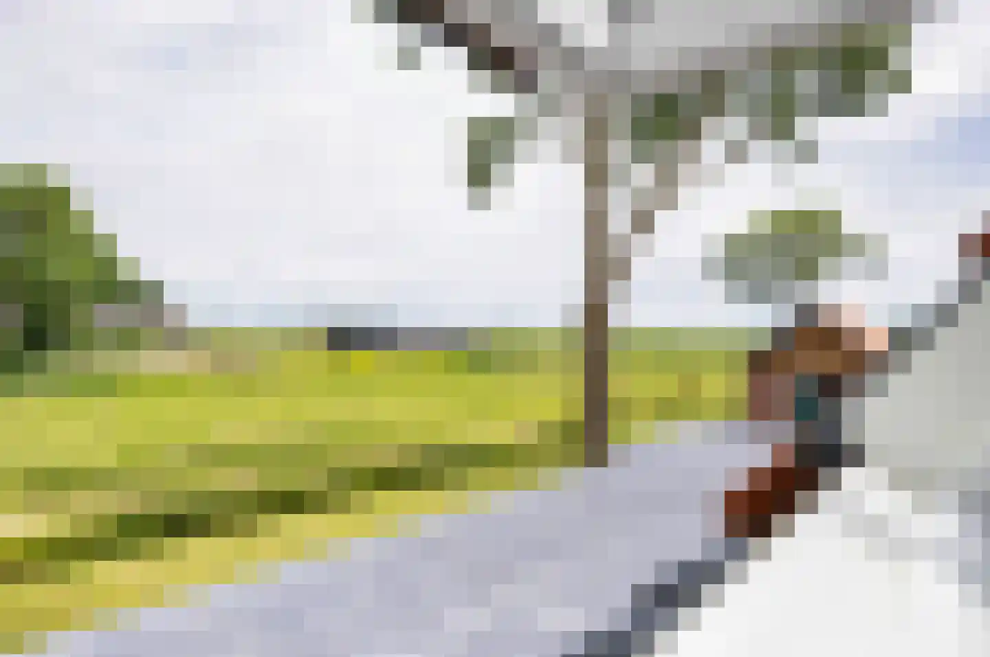 Ige Galamawei 14 Oudega thumbnail 48