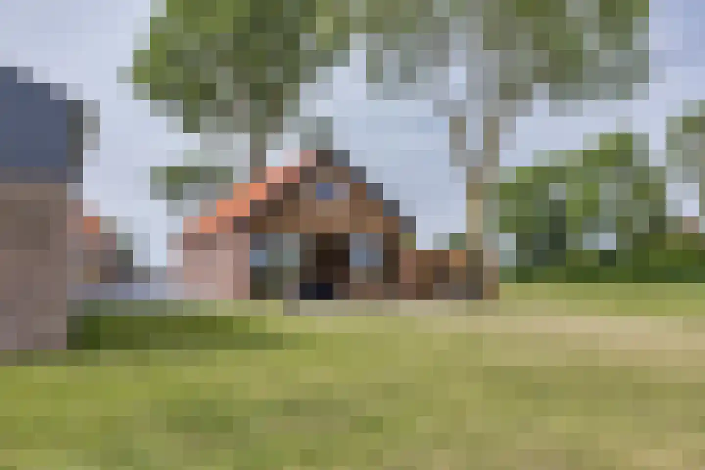Ige Galamawei 14 Oudega thumbnail 54