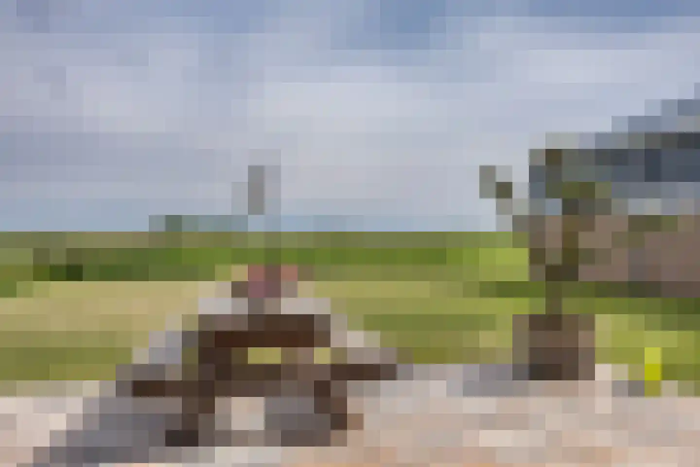 Ige Galamawei 14 Oudega thumbnail 59