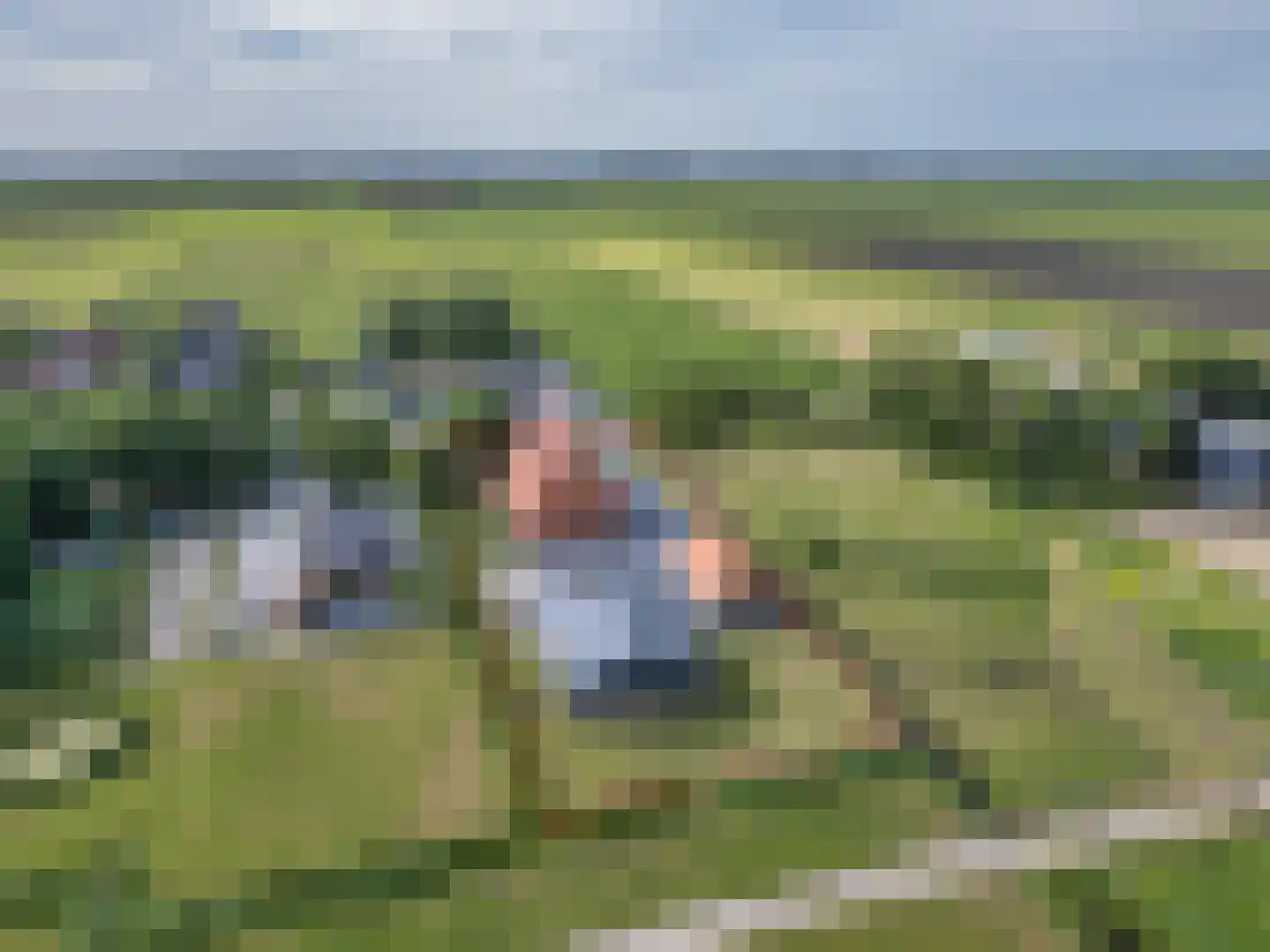 Ige Galamawei 14 Oudega thumbnail 6
