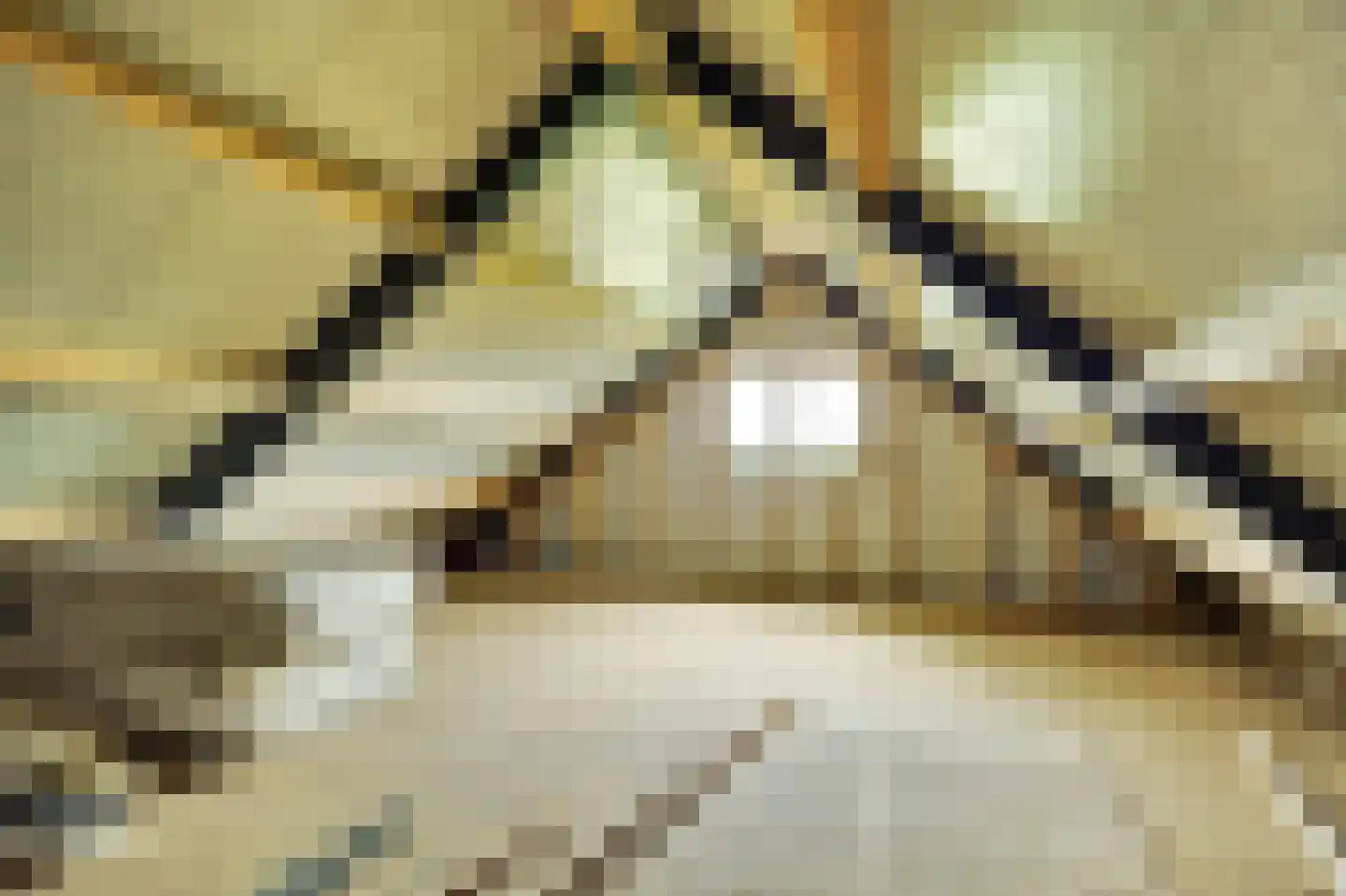 Ige Galamawei 14 Oudega thumbnail 66