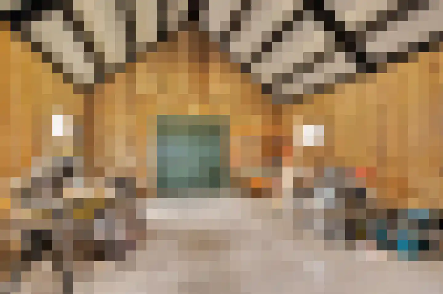 Ige Galamawei 14 Oudega thumbnail 67