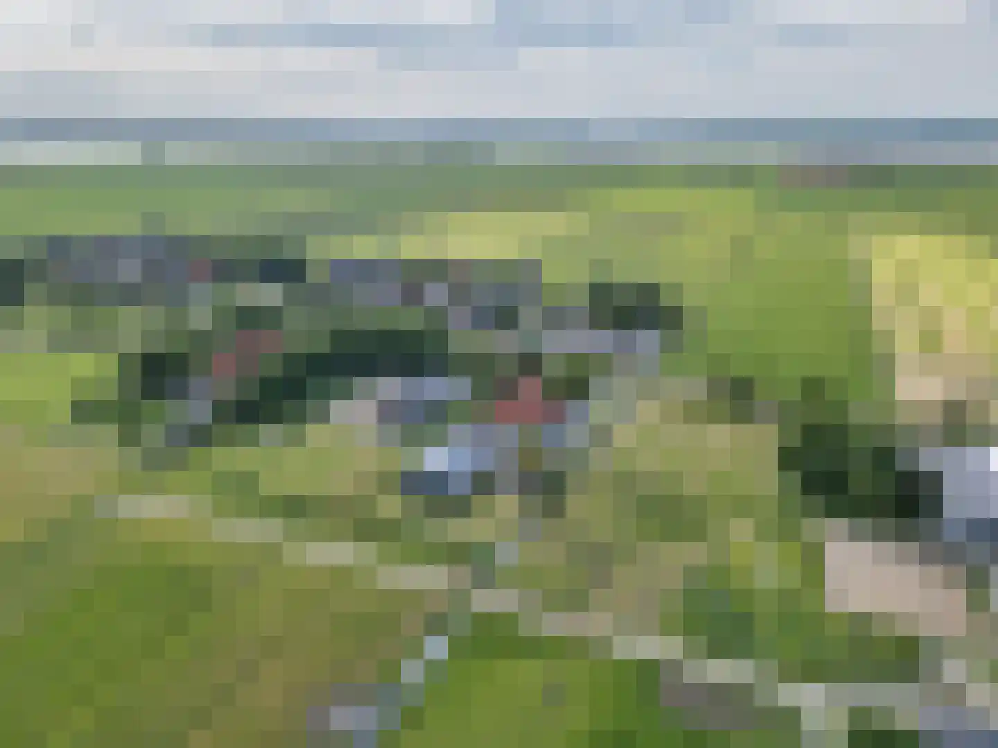 Ige Galamawei 14 Oudega thumbnail 69