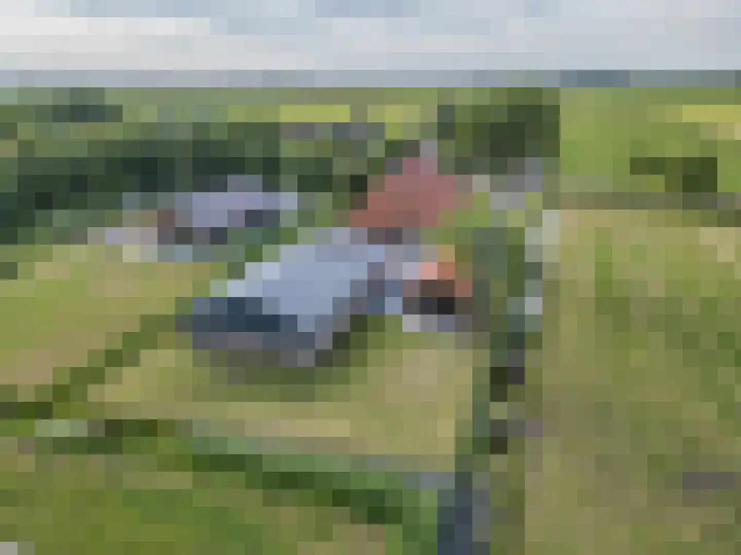 Ige Galamawei 14 Oudega thumbnail 70