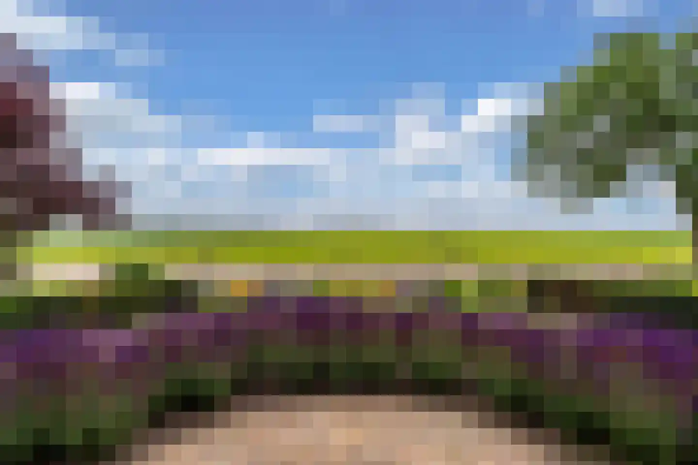 Ige Galamawei 25 Oudega thumbnail 10