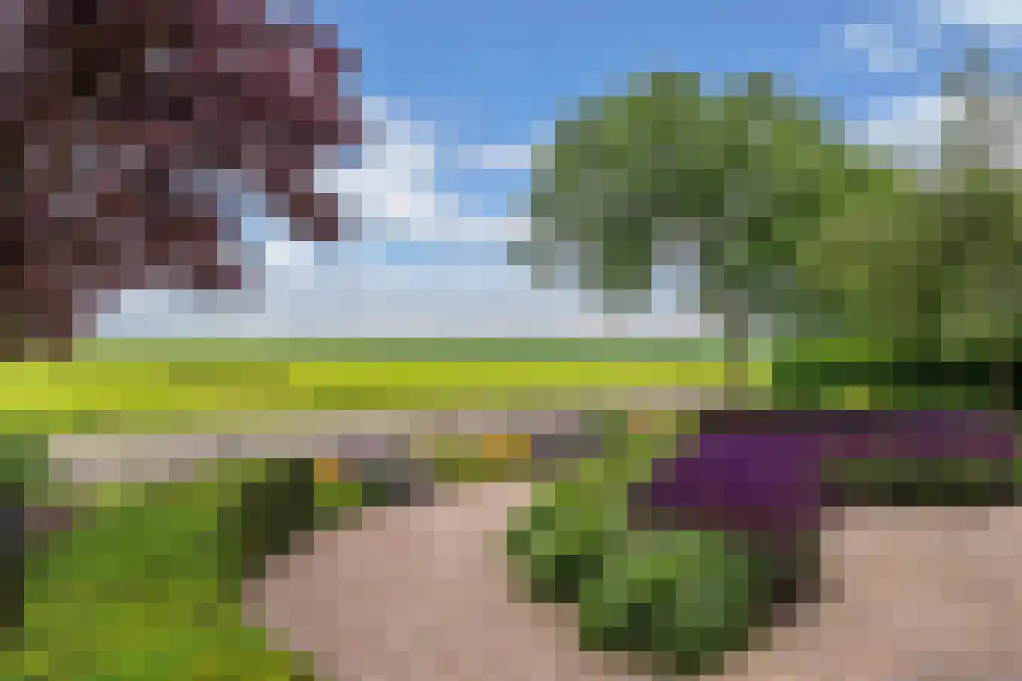 Ige Galamawei 25 Oudega thumbnail 11