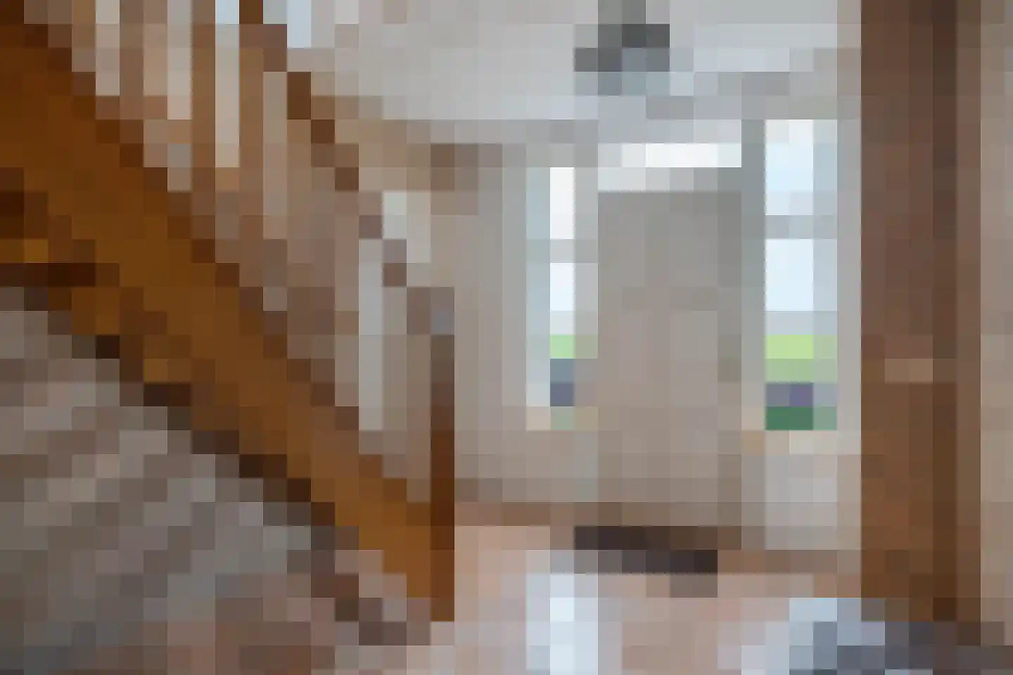 Ige Galamawei 25 Oudega thumbnail 18