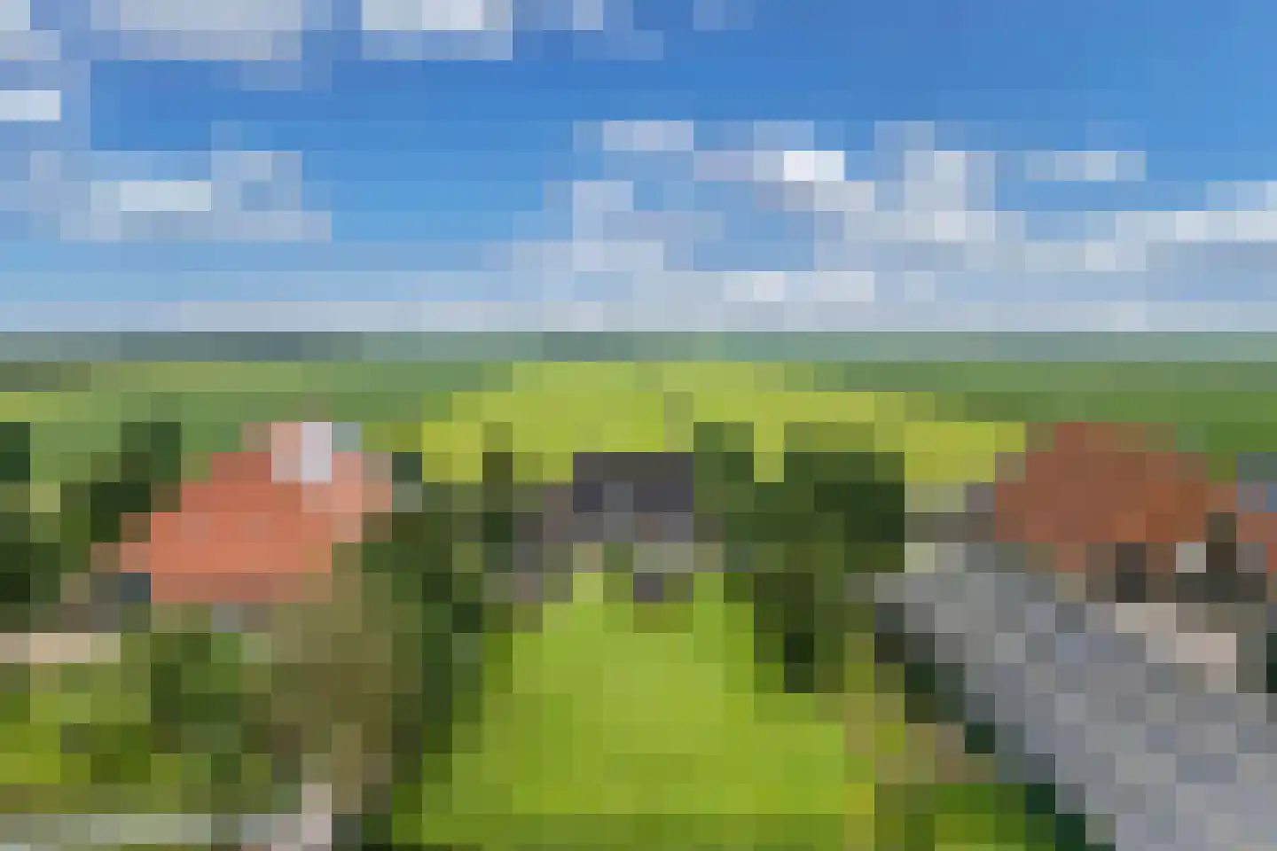 Ige Galamawei 25 Oudega foto 2