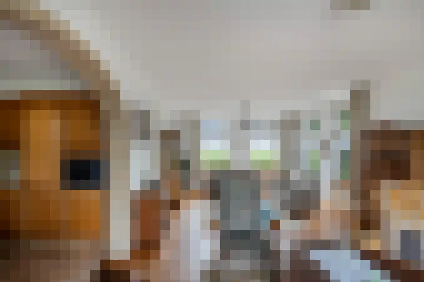 Ige Galamawei 25 Oudega thumbnail 21