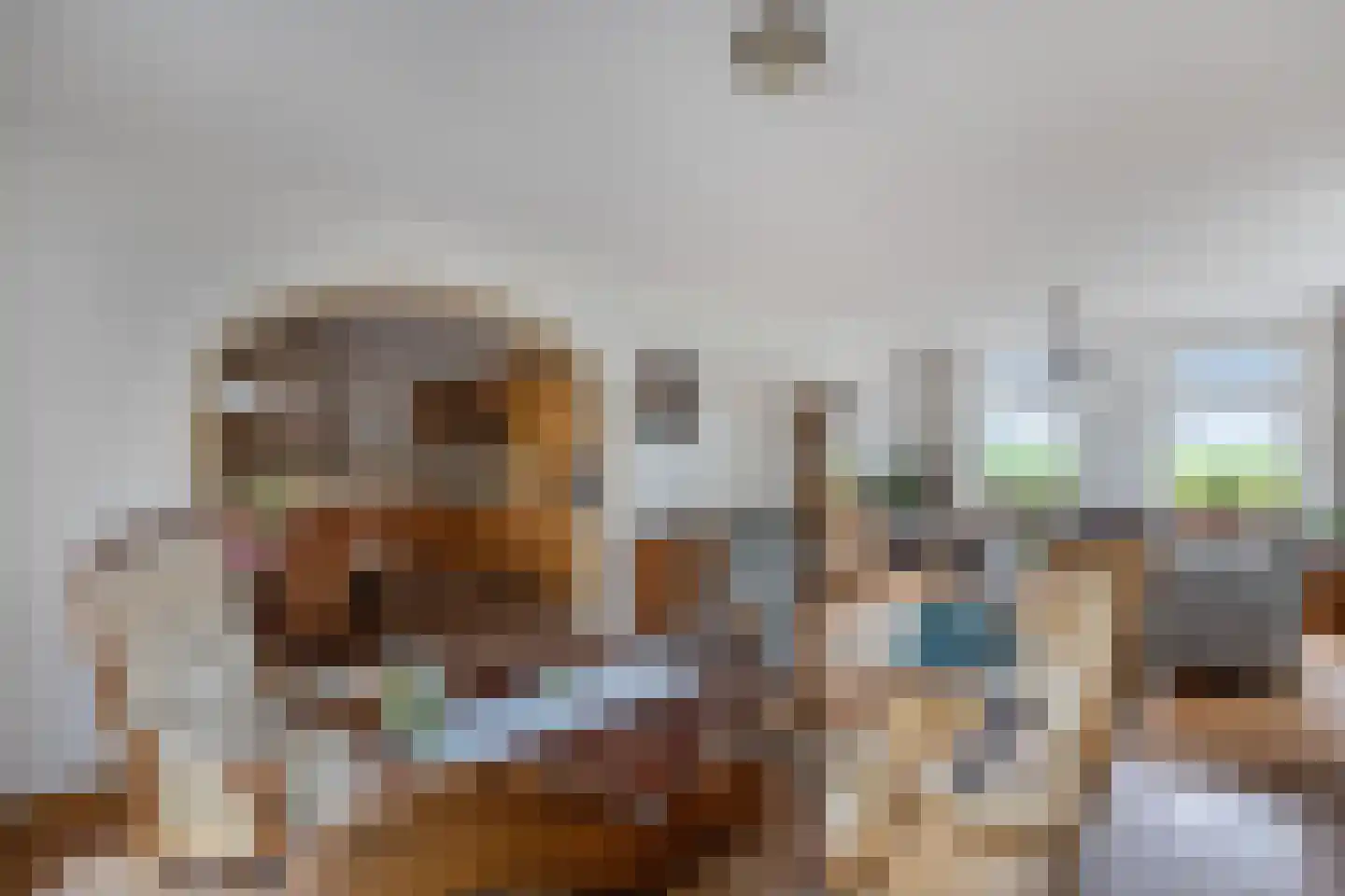 Ige Galamawei 25 Oudega thumbnail 22