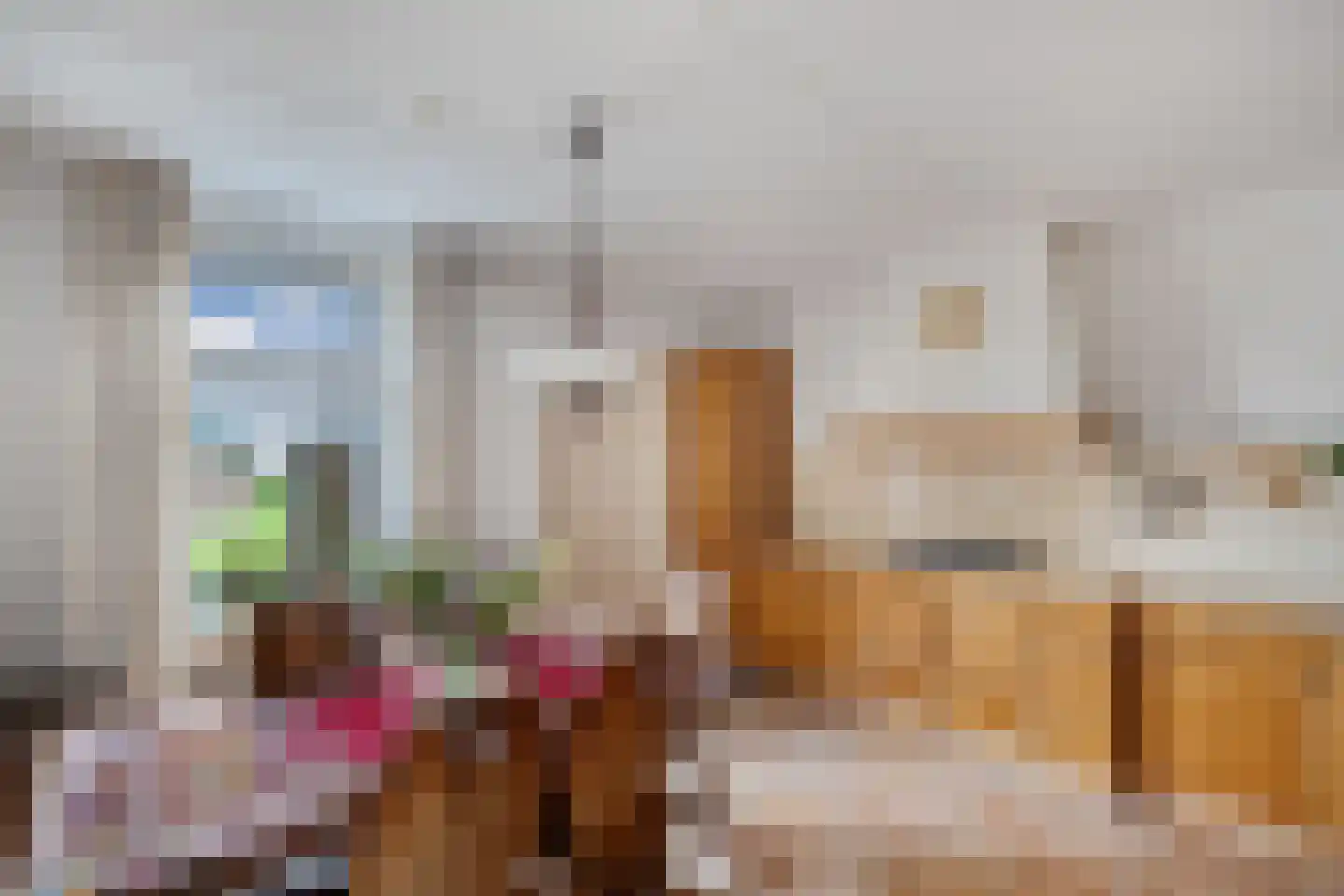 Ige Galamawei 25 Oudega thumbnail 27