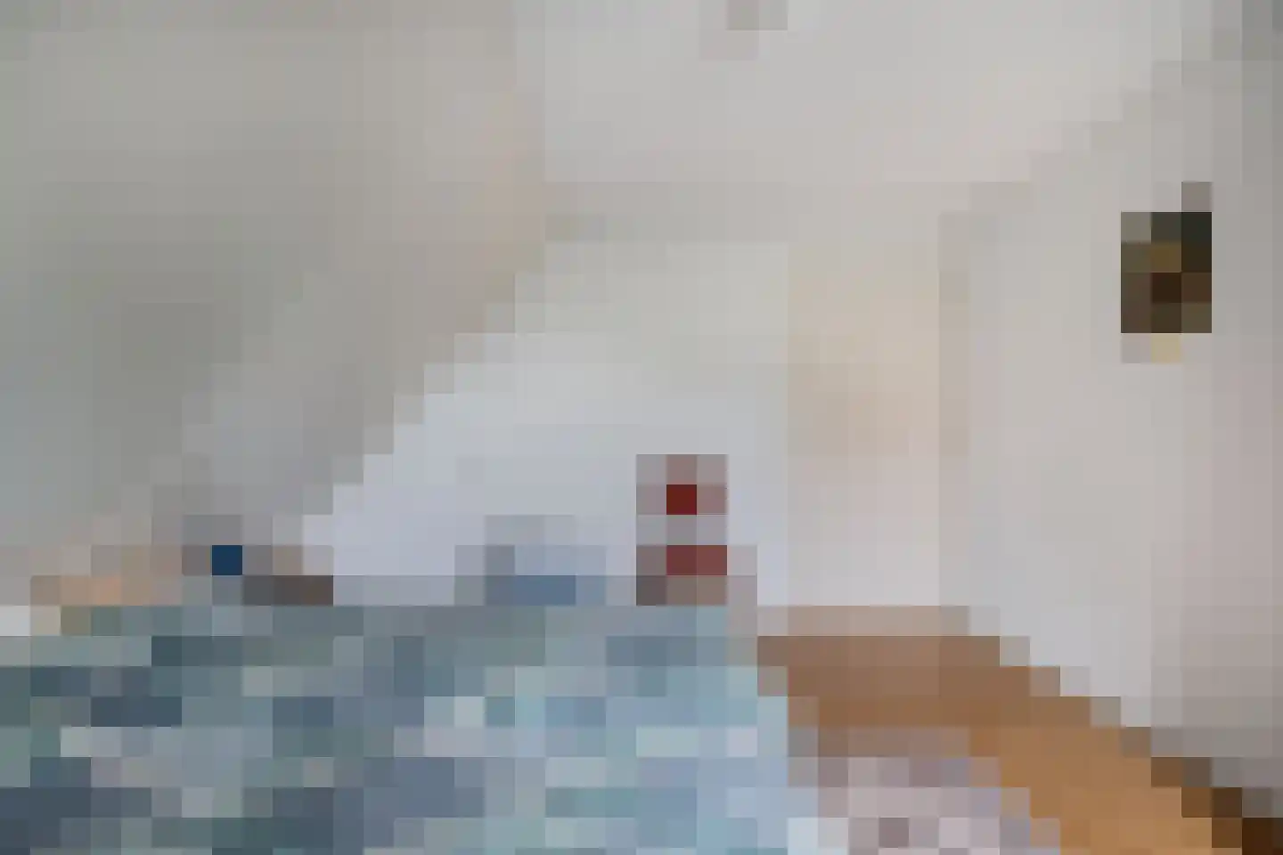 Ige Galamawei 25 Oudega thumbnail 40