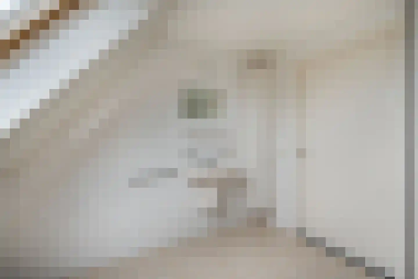 Ige Galamawei 25 Oudega thumbnail 49