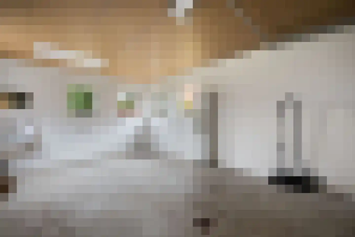 Ige Galamawei 25 Oudega thumbnail 51