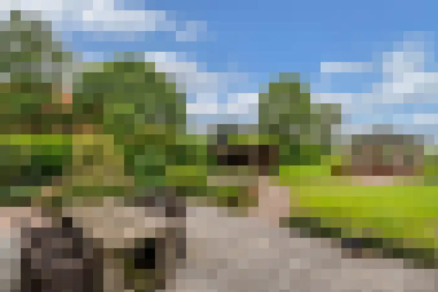 Ige Galamawei 25 Oudega thumbnail 52