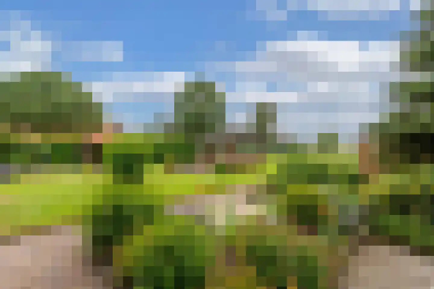 Ige Galamawei 25 Oudega thumbnail 53