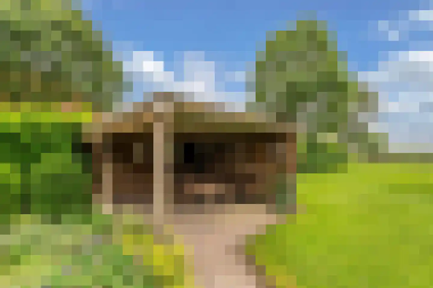 Ige Galamawei 25 Oudega thumbnail 54