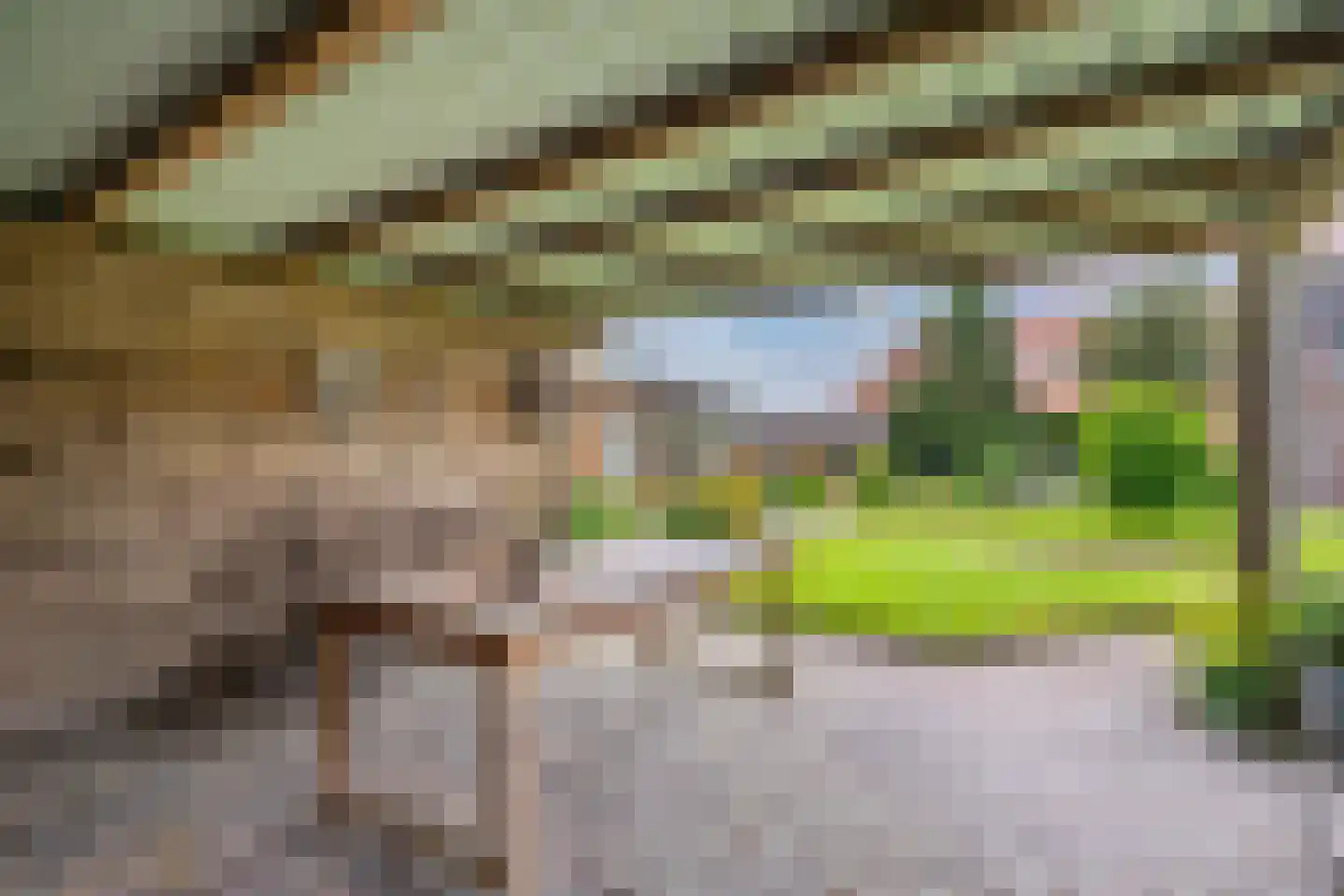 Ige Galamawei 25 Oudega thumbnail 55